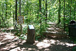 Lakeshore Forest Wilderness Trail